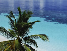 Silver Sands Maldives