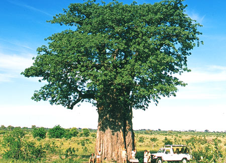 AndBeyond Botswana