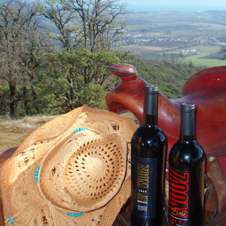 Cowboy Hideaway Ranch