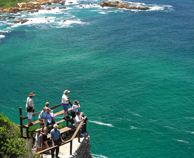 Ker & Downey, South Africa Wine and Wildlife