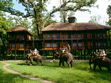 Tiger Tops Jungle Lodge