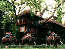 Tiger Tops Jungle Lodge