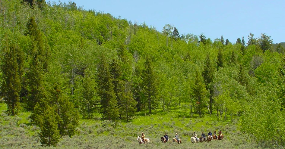 Lost Creek Ranch & Spa