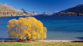 Bill Peach Journeys, Aircruising New Zealand