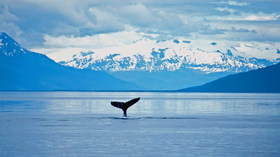 Silversea Cruises, Alaska and Pacific Coast