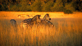 AndBeyond South Africa