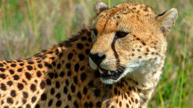 AndBeyond South Africa