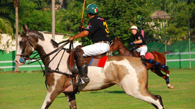 Celest Hotel Boutique San Pancho