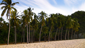 Celest Hotel Boutique San Pancho