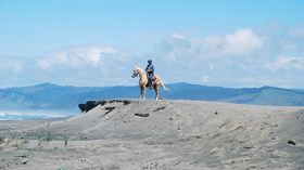 Cowboy Hideaway Ranch