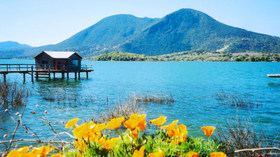 Cowboy Hideaway Ranch