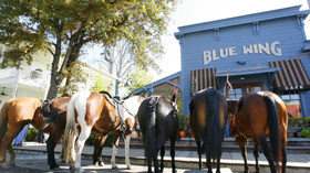 Cowboy Hideaway Ranch