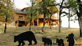 Cowboy Hideaway Ranch