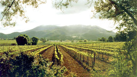 Cowboy Hideaway Ranch