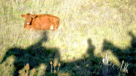 Cowboy Hideaway Ranch