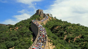 Pacific Delight Tours