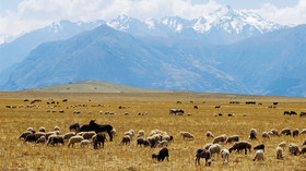 Andean Experience Co.