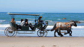 The Cliffs Preserve at Patagonia