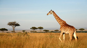 PerryGolf, South Africa Destinations