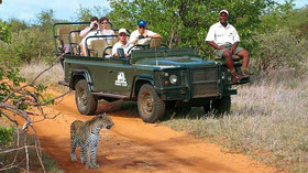 Ker & Downey, South Africa Wine and Wildlife