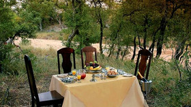 Ker & Downey, South Africa Wine and Wildlife