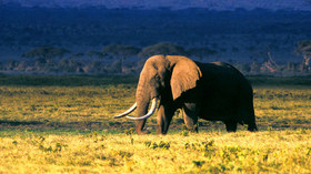 AndBeyond, Phinda Private Game Reserve