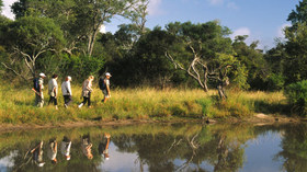 AndBeyond, Ngala Private Game Reserve