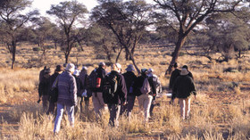 AndBeyond, Ngala Private Game Reserve