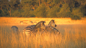 AndBeyond Kichhwa Tembo Tented Camp