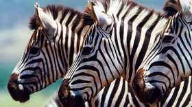 AndBeyond Kichhwa Tembo Tented Camp