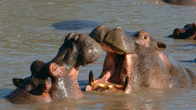 AndBeyond Kichhwa Tembo Tented Camp