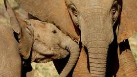 AndBeyond Kichhwa Tembo Tented Camp