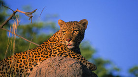 AndBeyond Kichhwa Tembo Tented Camp