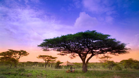 andBEYOND, Tantalizing Tanzania