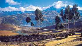 Inkaterra Experiences, Reserva Amazonica La Casona and Machu Picchu