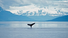 Regent Seven Seas Cruises<br>Ring of Fire World Cruise