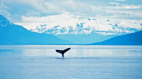 Regent Seven Seas Cruises<br>Osaka to Seward<br>May 7, 2009