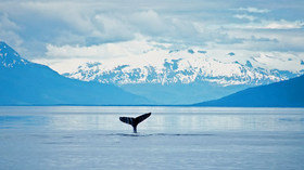 Regent Seven Seas Cruises<br>Vancouver to Seward<br>2009
