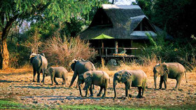 Mfuwe Lodge<br>The Bushcamp Company