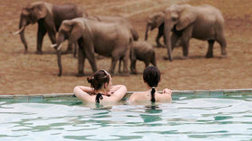 Mfuwe Lodge<br>The Bushcamp Company