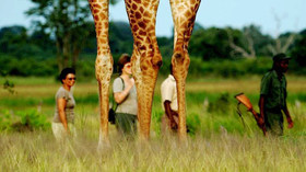 Mfuwe Lodge<br>The Bushcamp Company