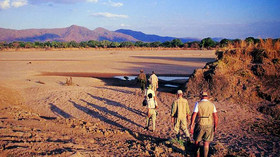 Mfuwe Lodge<br>The Bushcamp Company