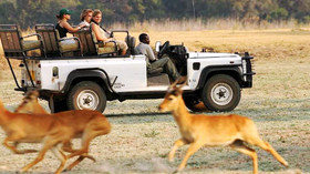 Mfuwe Lodge<br>The Bushcamp Company