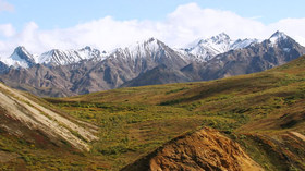 Alaska Wildland Adventures, Alaska Coast to Denali Journey
