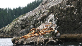 Alaska Wildland Adventures, Kenai Fjords Glacier Lodge