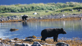 Alaska Wildland Adventures, Kenai Fjords Glacier Lodge