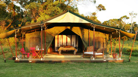 Cheli & Peacock, 11-Day All-Inclusive Kenya Safari