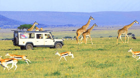 Cheli & Peacock, 11-Day All-Inclusive Kenya Safari