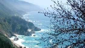 Manifesta Safaris for Women, Artista Creative Safaris