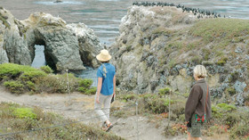 Manifesta Safaris for Women, Artista Creative Safaris